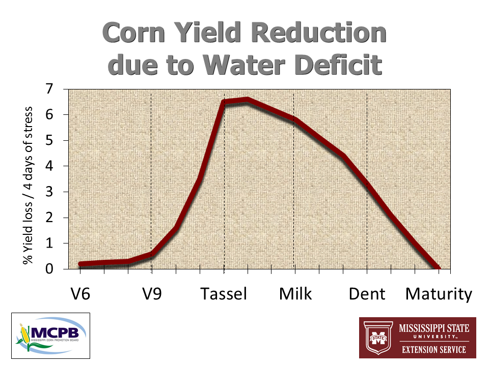Corn Water Deficit Sensitivity