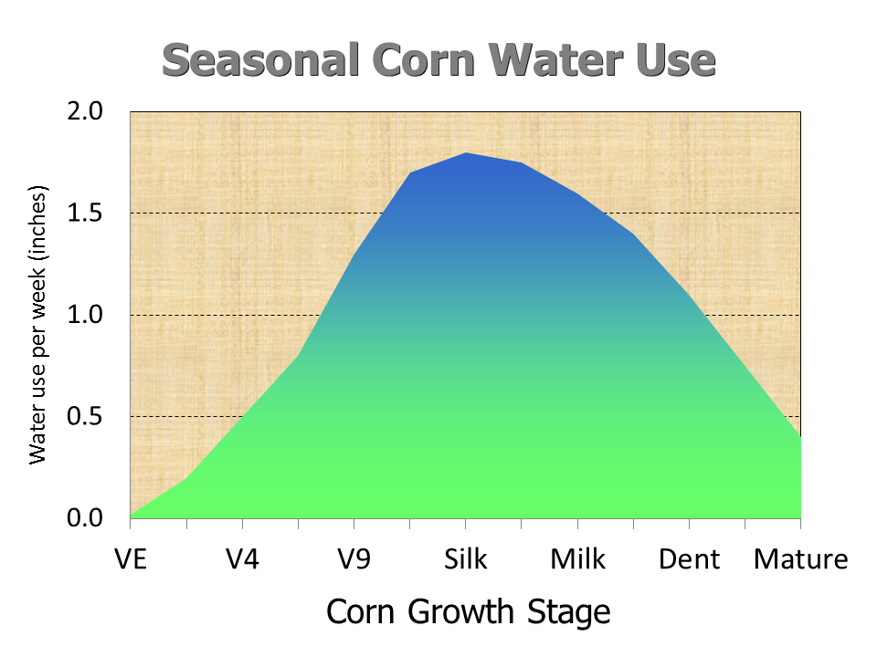 Corn Water Use