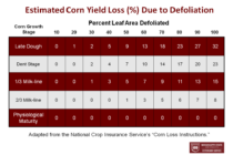 Vulnerability of Corn to Late-Season Issues?