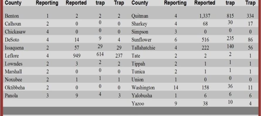 Insect Trap Counts, July 11, 2014 (updated July 12, 2014)