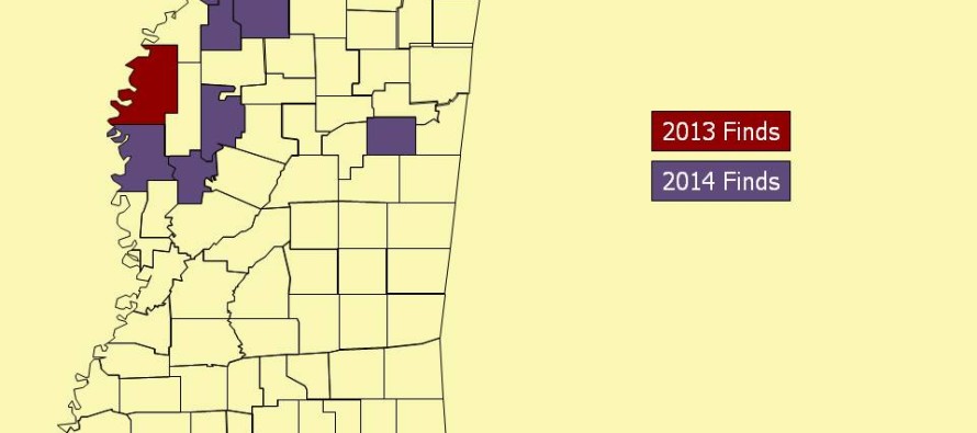 White Sugarcane Aphid Update and Impact on Midge Applications