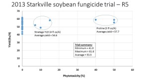 2013 Starkville, MS R5 fungicide trial.