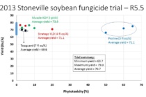 Fungicide Phytotoxicity: Check the Fungicide Applied Prior to Blaming SDS