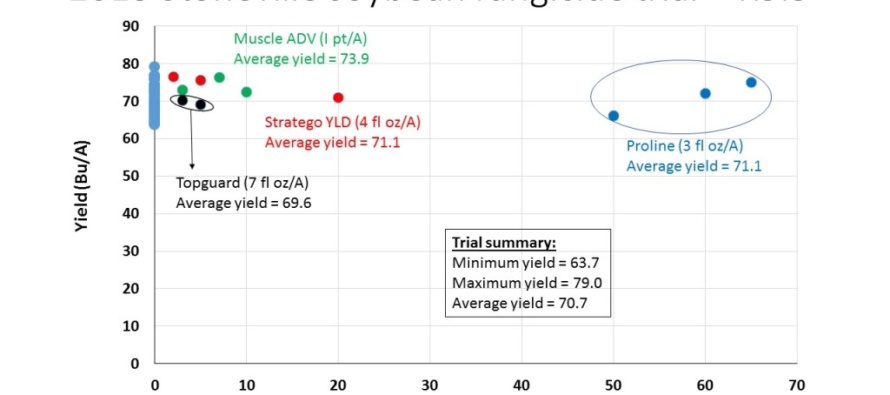 Fungicide Phytotoxicity: Check the Fungicide Applied Prior to Blaming SDS