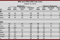 Insect Trap Counts, August 14, 2014