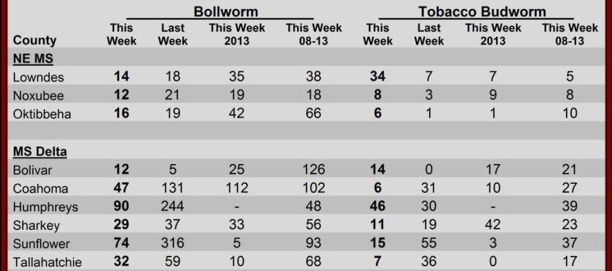 Insect Trap Counts, August 14, 2014