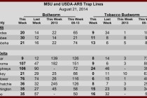 Insect Trap Counts, August 22, 2014