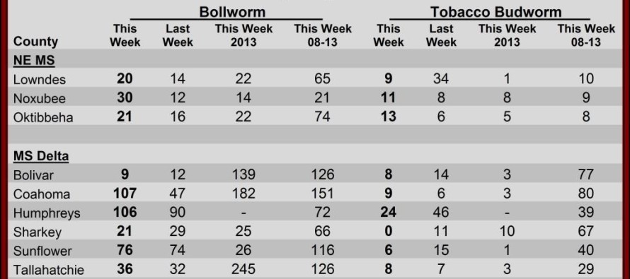 Insect Trap Counts, August 22, 2014