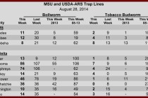 Insect Trap Counts, August 29, 2014