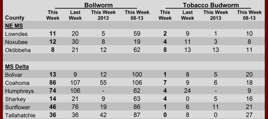 Insect Trap Counts, August 29, 2014