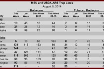 Insect Trap Counts, August 8, 2014