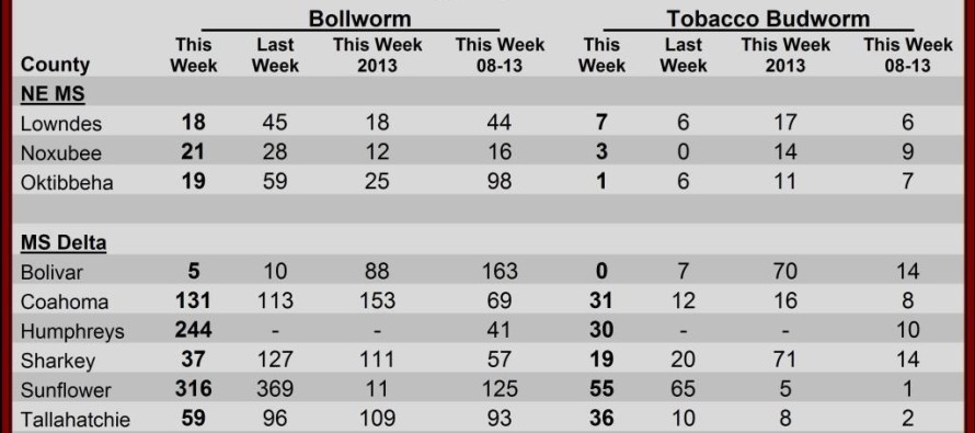 Insect Trap Counts, August 8, 2014