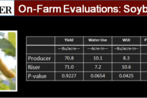 2014 Mississippi State University RISER Program Results