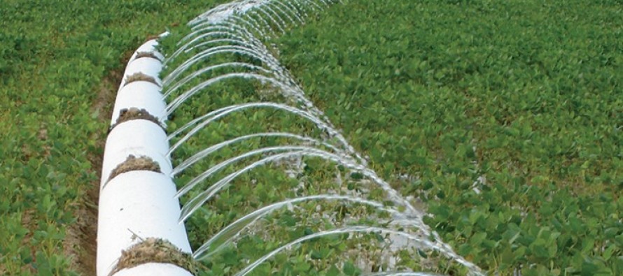 Soybean Irrigation (Podcast)