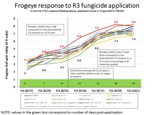 FLS post-application