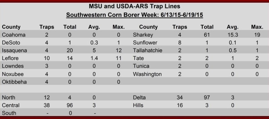 Pheromone Trap Counts, June 19, 2015