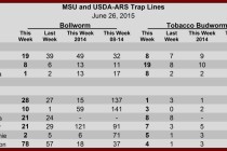 Pheromone Trap Counts, June 26, 2015