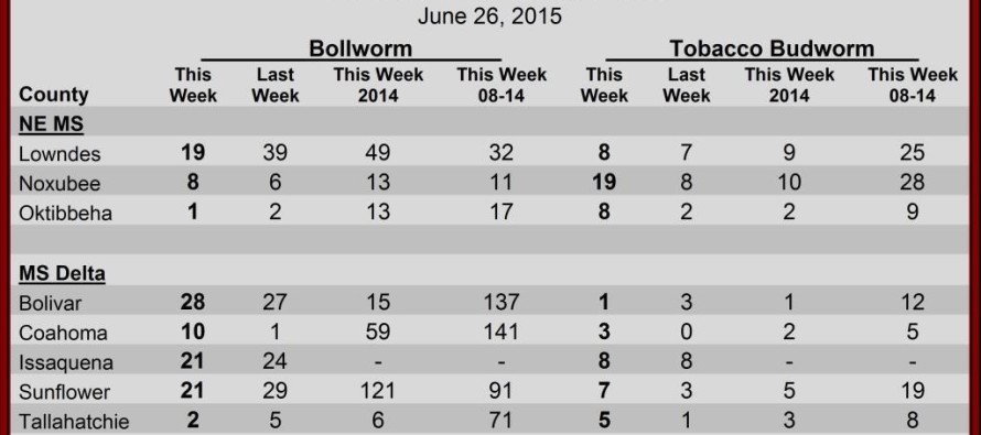 Pheromone Trap Counts, June 26, 2015