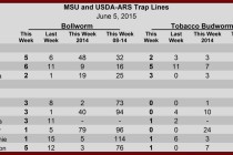 Pheromone Trap Counts, June 5, 2015