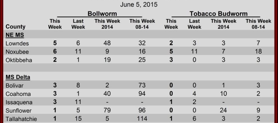 Pheromone Trap Counts, June 5, 2015