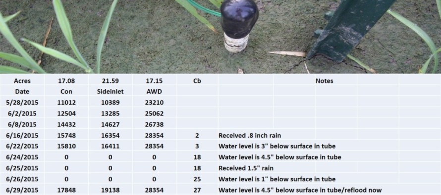 Rice Irrigation with Safe AWD.