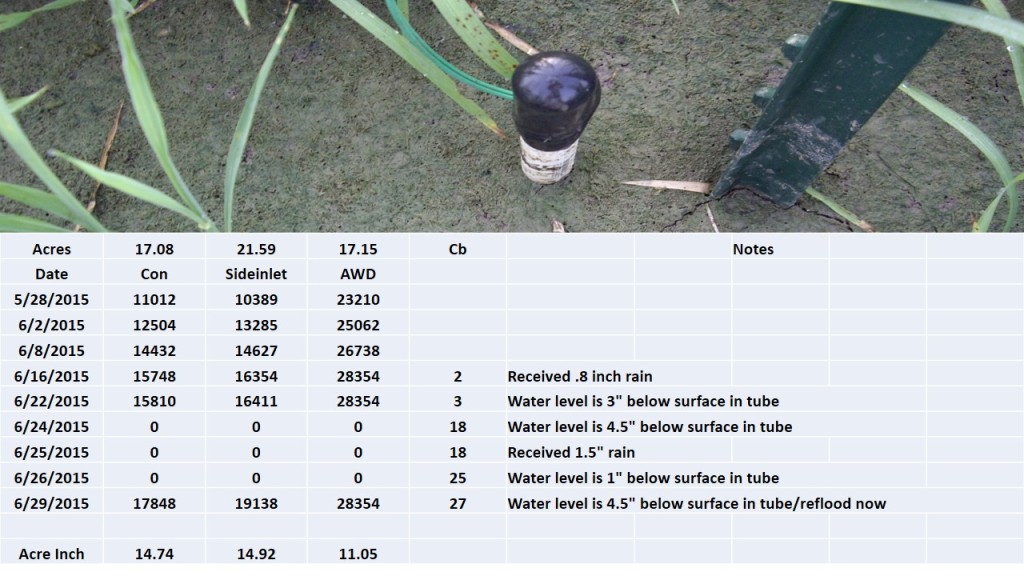 Awd Project Rice Rice Irrigation with Safe AWD. | Mississippi Crop Situation