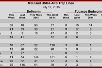 Pheromone Trap Counts, July 17, 2015