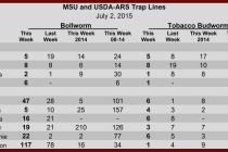 Pheromone Trap Counts, July 2, 2015