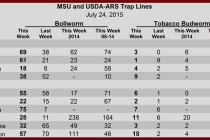 Pheromone Trap Counts, July 24, 2015