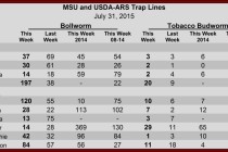 Pheromone Trap Counts, July 31, 2015