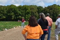 Cotton Field Tour/Turnrow Talk – Brooksville, MS – July 12