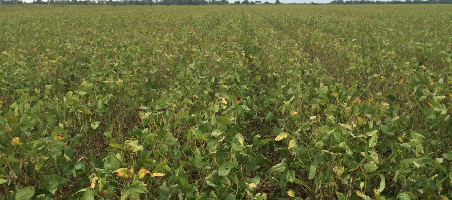 Soybean Harvest Aids