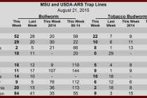 Pheromone Trap Counts, August 21, 2015