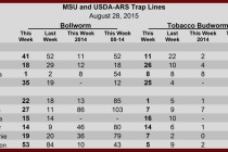 Pheromone Trap Counts, August 28. 2015