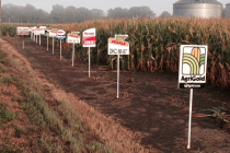 Grain Yield Summaries from the Corn Hybrid Demonstration Program