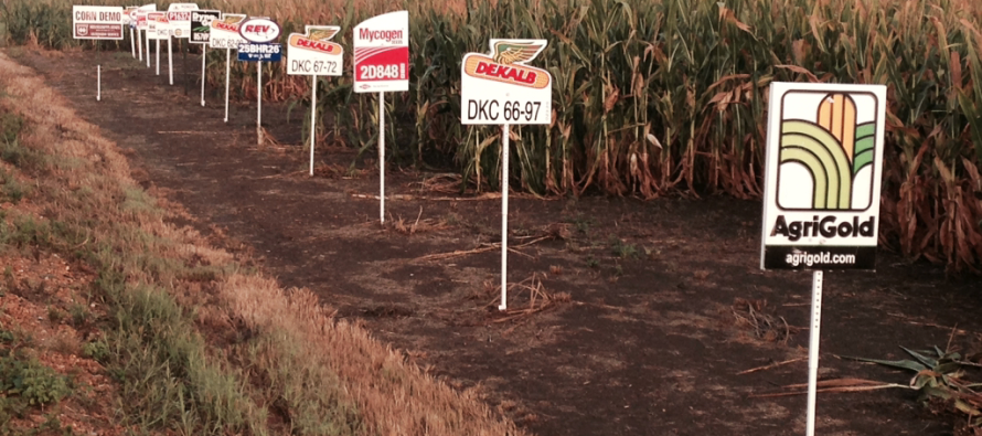 Grain Yield Summaries from the Corn Hybrid Demonstration Program