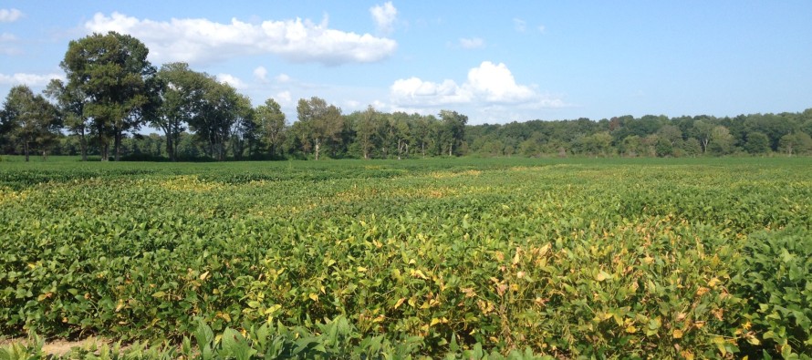 2015 Soybean OVT Foliar Disease Ratings: Maturity Group V
