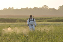 Pesticide Calibration Made Easy