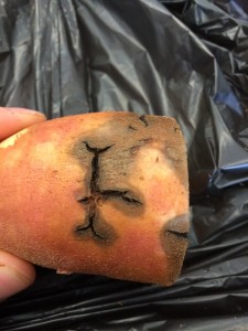 Black rot on sweetpotato storage root surface.
