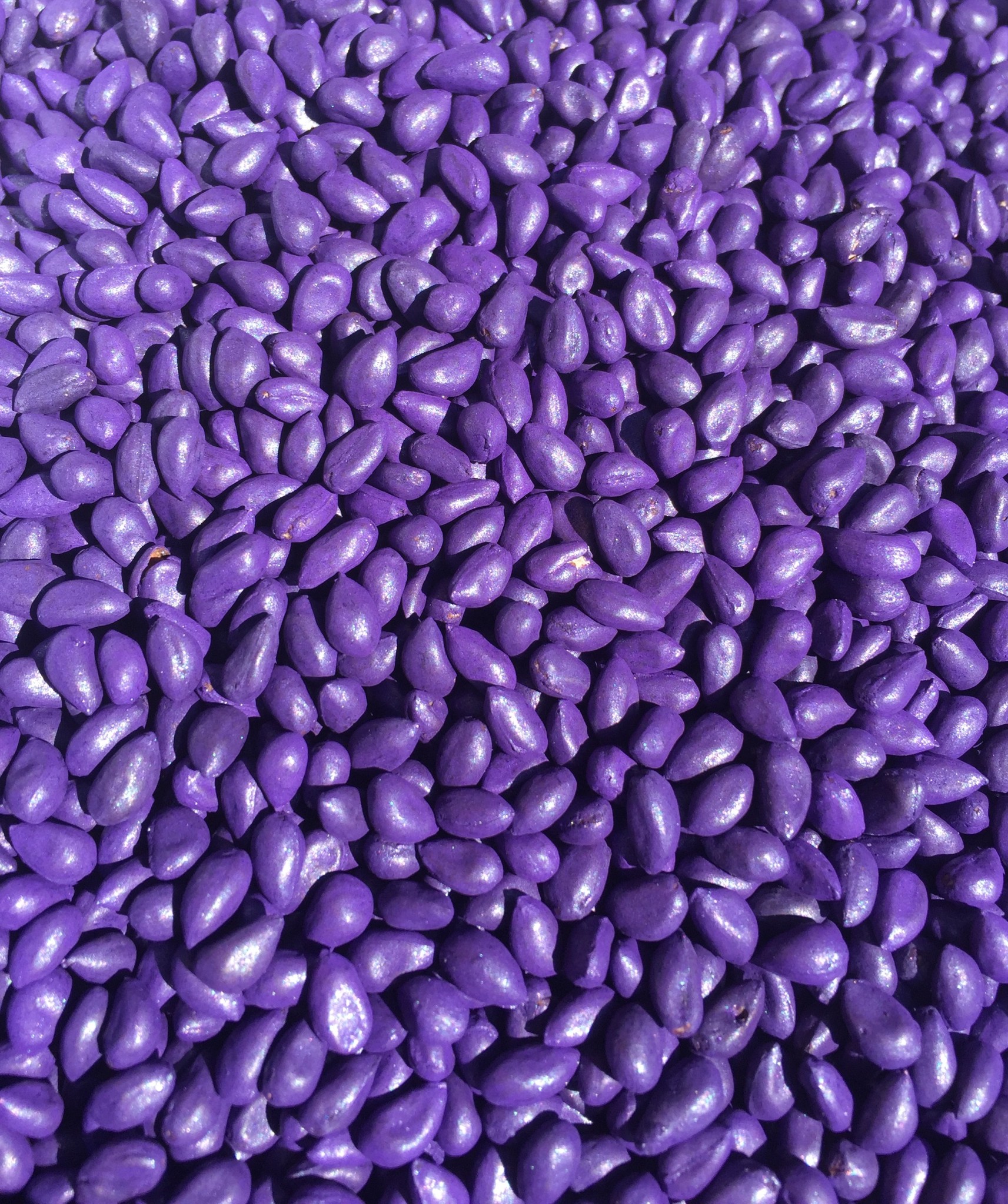 Seed Treatments And Thrips 2016 Expectations Mississippi Crop Situation organic-cotton-vs-normal-cotton-crop-rotation-fungicide-beneficial