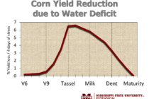 When Should we Start Irrigating our Corn?