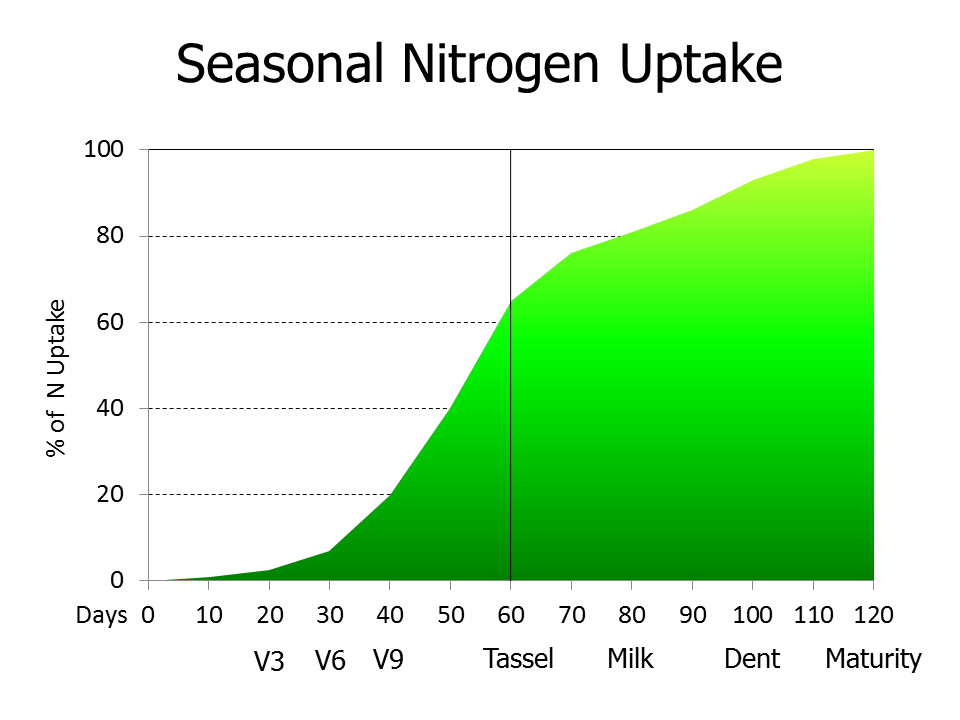 Nitrogen Seasonal Uptake for Corn