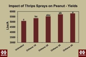 Thrips Peanut