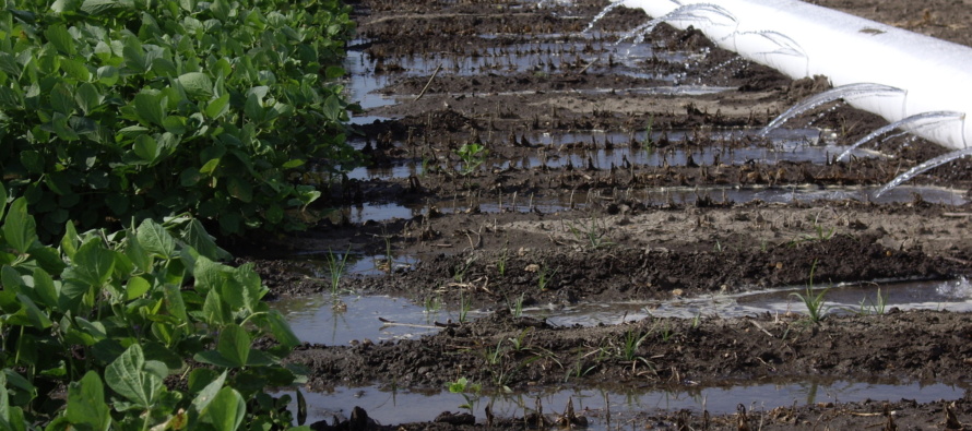 2021 Irrigation Season Approaching