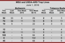 Pheromone Trap Counts, June 1, 2016