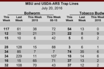 Pheromone Trap Counts and Assays, July 22, 2016