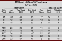 Bollworm and Budworm Trap Counts, July 29, 2016