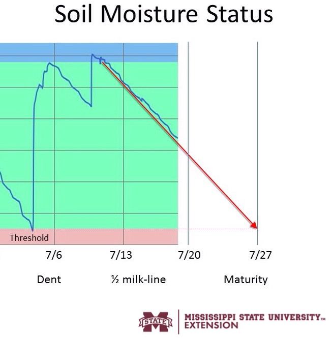 Soil sensor chart showing moisture level relative to corn maturity.