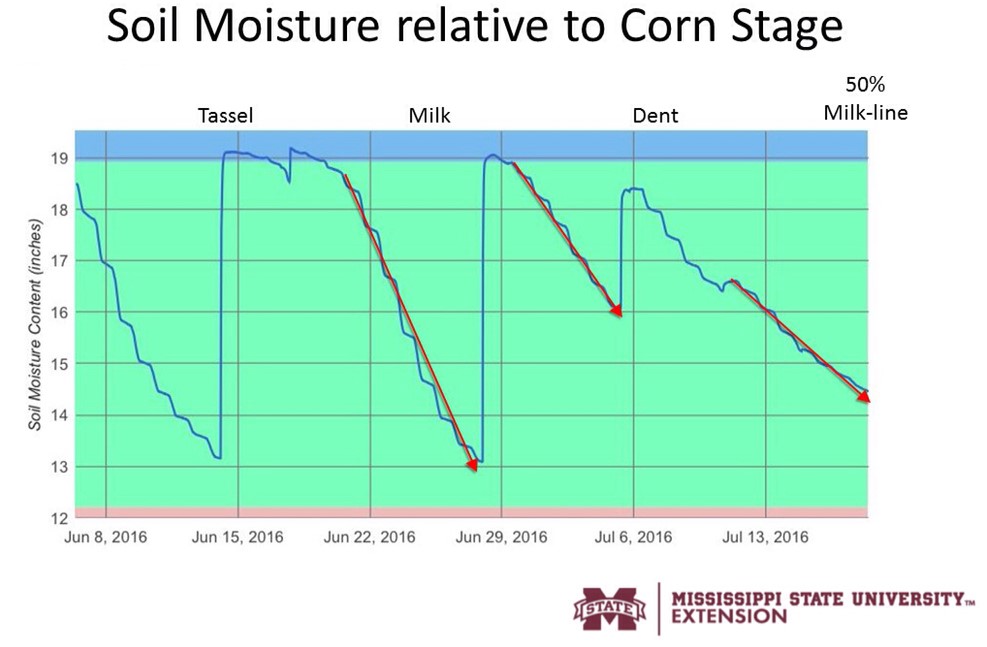 Soil sensor chart showing a substantial decline in daily moisture decline as corn matures.