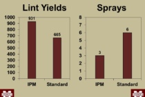 Tarnished Plant Bugs in 2016